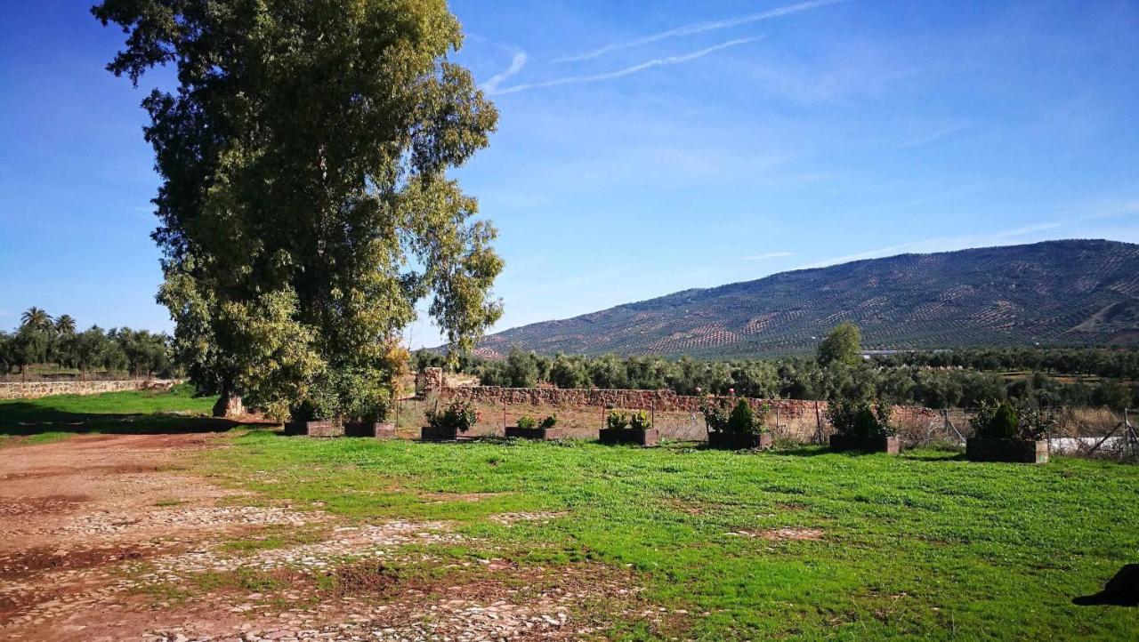 Finca El Vizconde Naturaleza Con Tus Hijos Arquillos Exterior photo