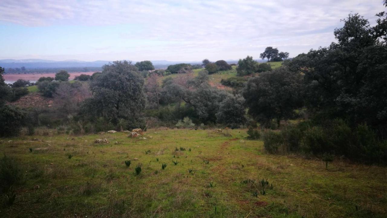 Finca El Vizconde Naturaleza Con Tus Hijos Arquillos Exterior photo